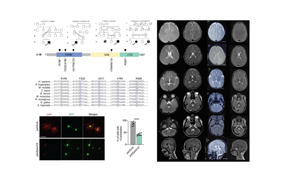 Image pharmacy-esymposium-01