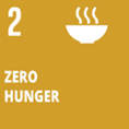 SDG Icons